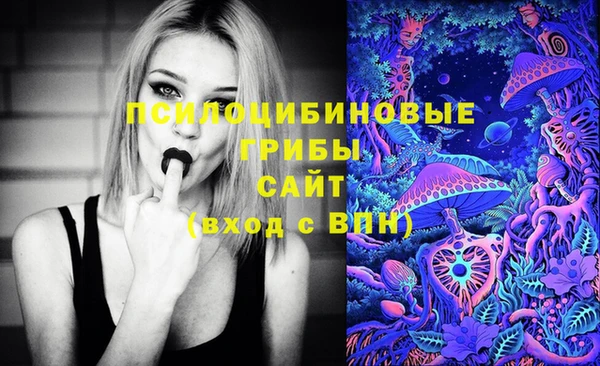 spice Киреевск