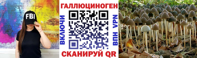 кракен вход  Осташков  Галлюциногенные грибы мицелий  купить наркотики сайты 
